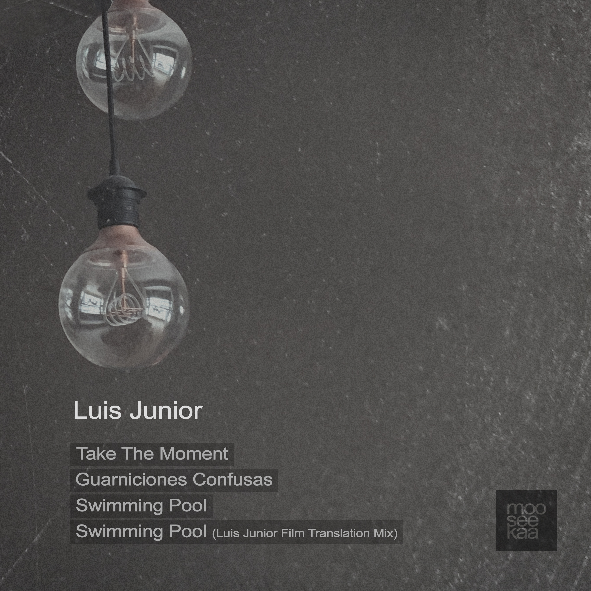 luis-junior-take-the-moment-mooseekaa