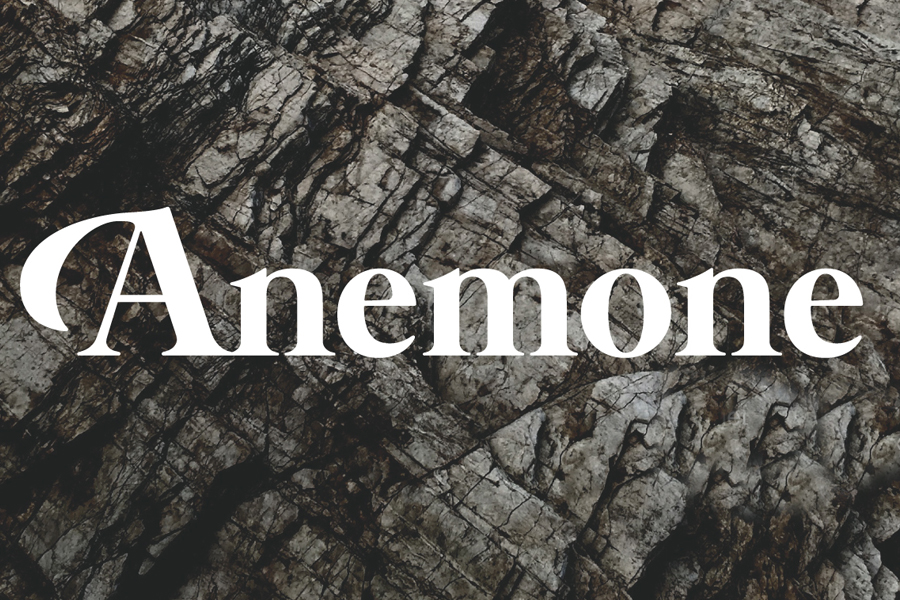 Calculus – Comet Temple 1 (Anemone Recordings)