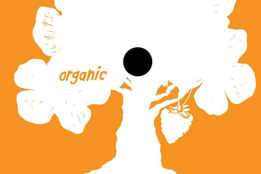 2Vilas – Numbers (Organic Music)